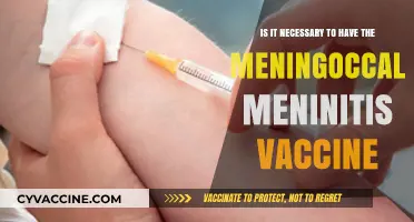 Meningococcal Meningitis Vaccine: Essential or Optional for Your Health?