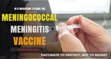 Meningococcal Meningitis Vaccine: Essential Protection or Optional Choice?