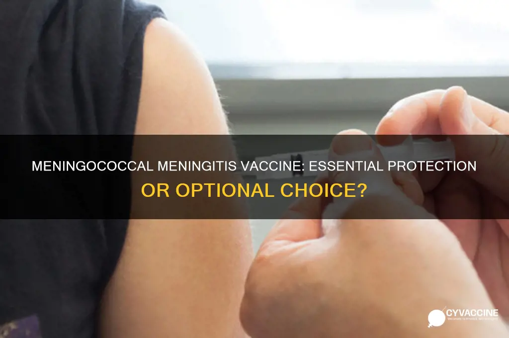 is it necessary to have the meningococcal meningitis vaccine