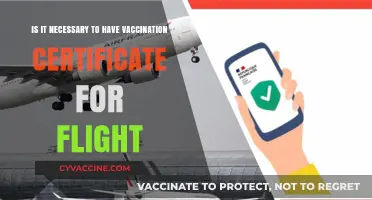 Do You Need a Vaccination Certificate for Air Travel?