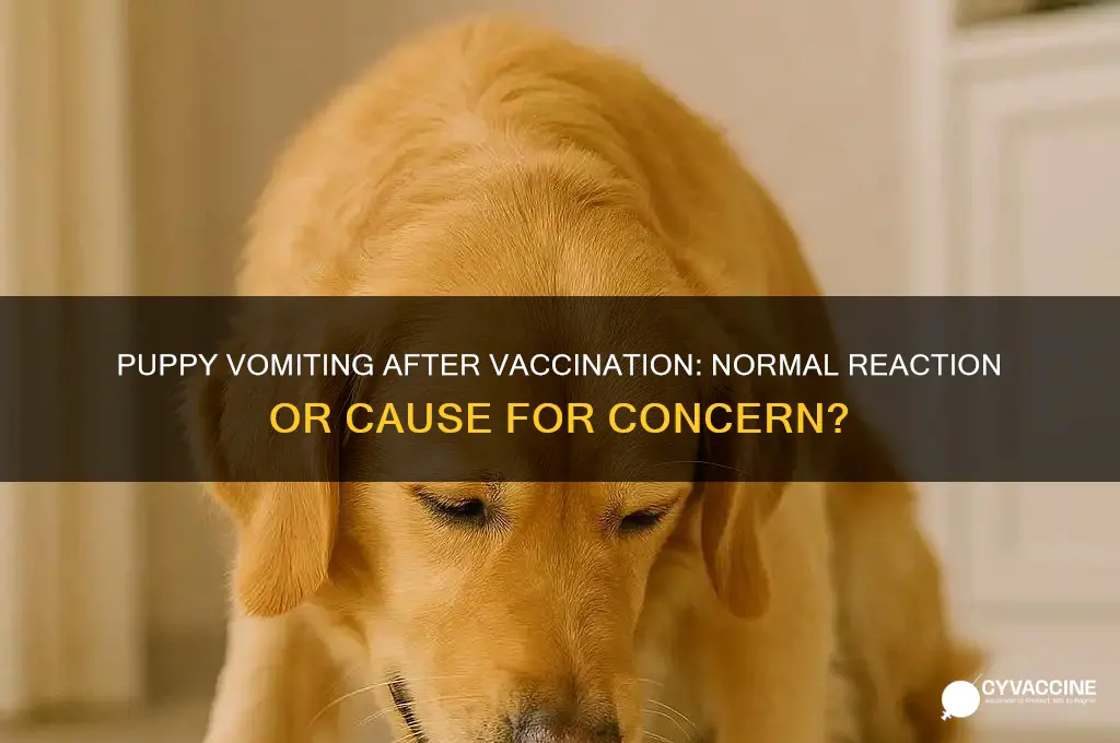 is it normal for a puppy to vomit after vaccine