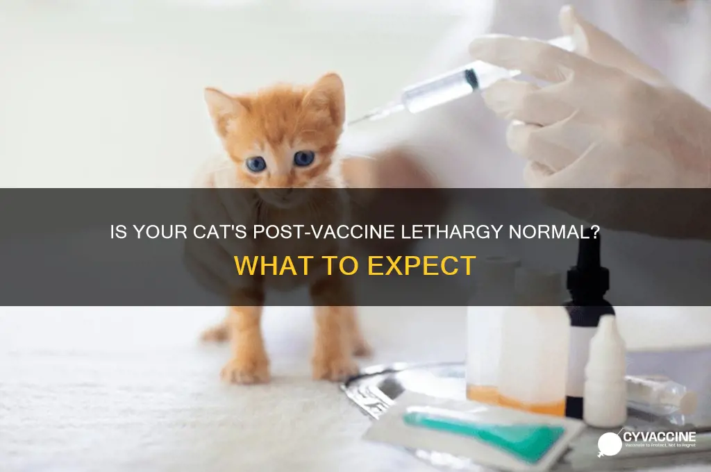 is it normal for cat to be lethargic after vaccine