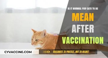 Post-Vaccination Cat Behavior: Understanding Aggression After Shots