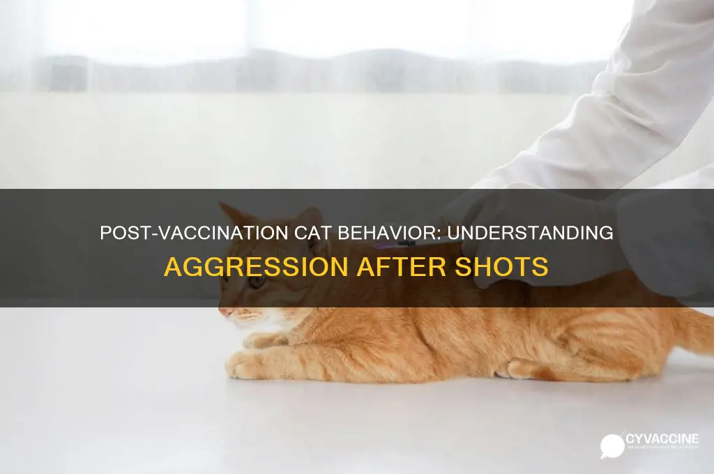 is it normal for cats to be mean after vaccination