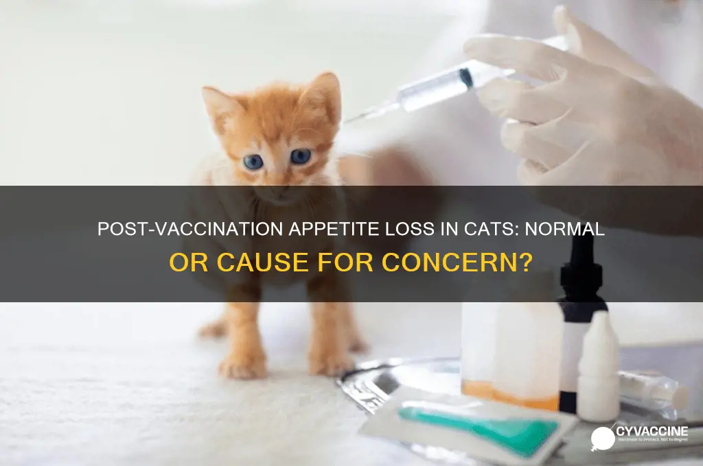 is it normal for cats to lose appetite after vaccination