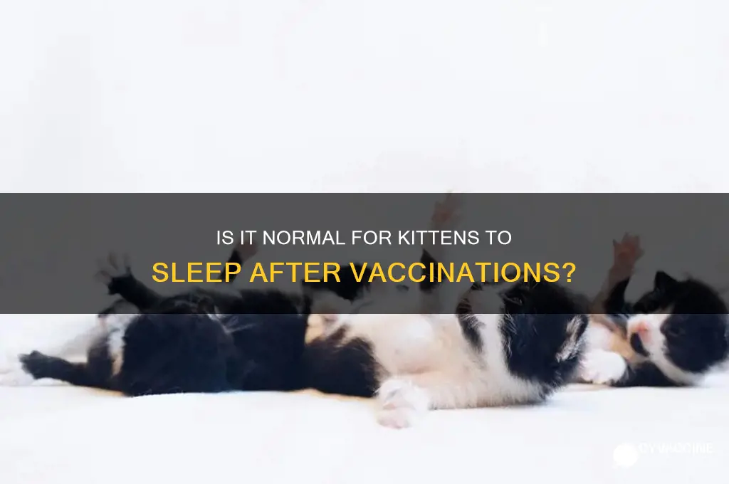 is it normal for kittens to sleep after vaccinations