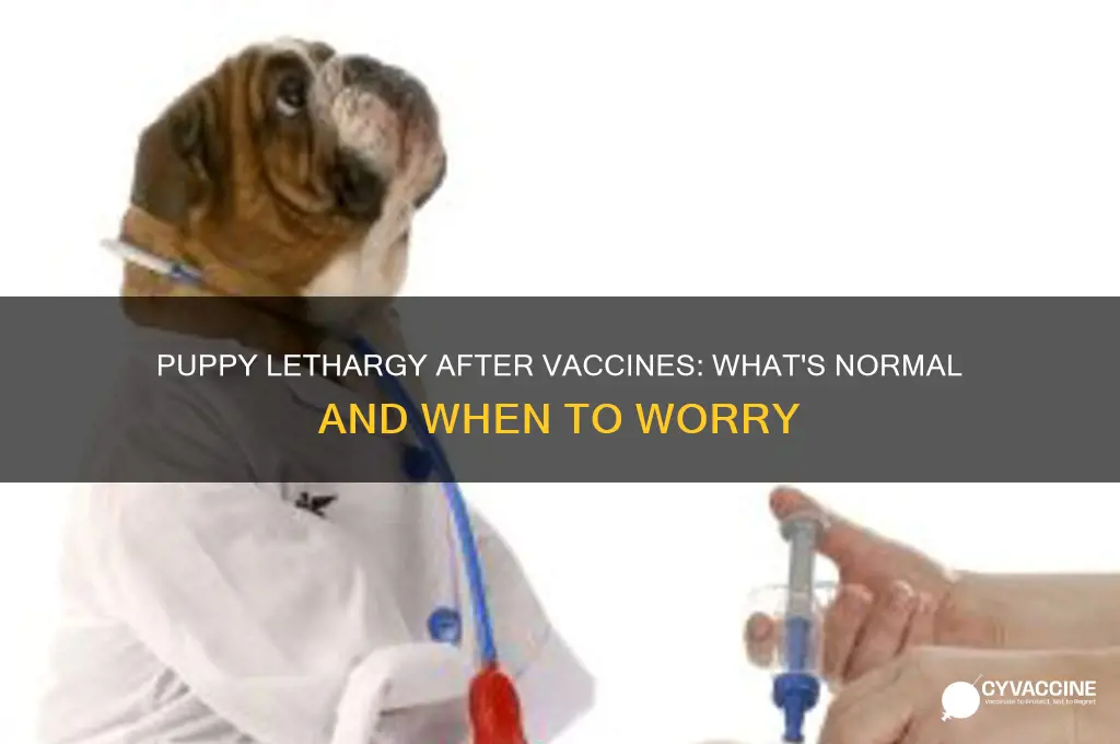 is it normal for puppies to be lethargic after vaccines