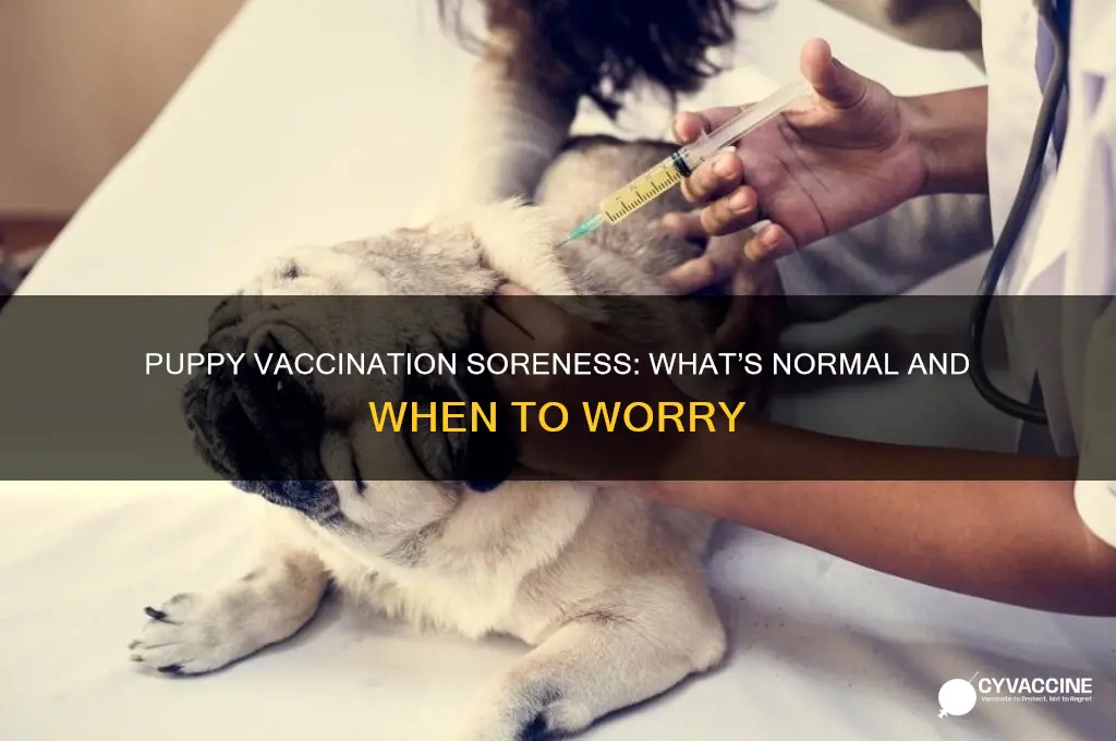 is it normal for puppies to be sore after vaccinations