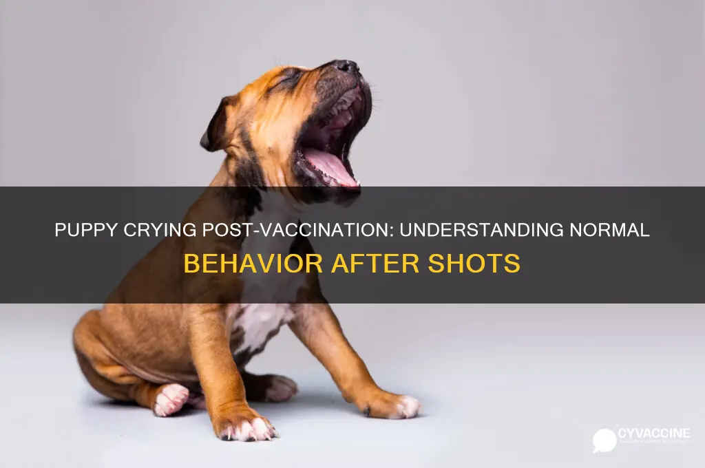 is it normal for puppies to cry after vaccinations