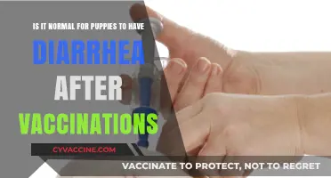 Puppy Diarrhea After Vaccinations: Normal or Cause for Concern?