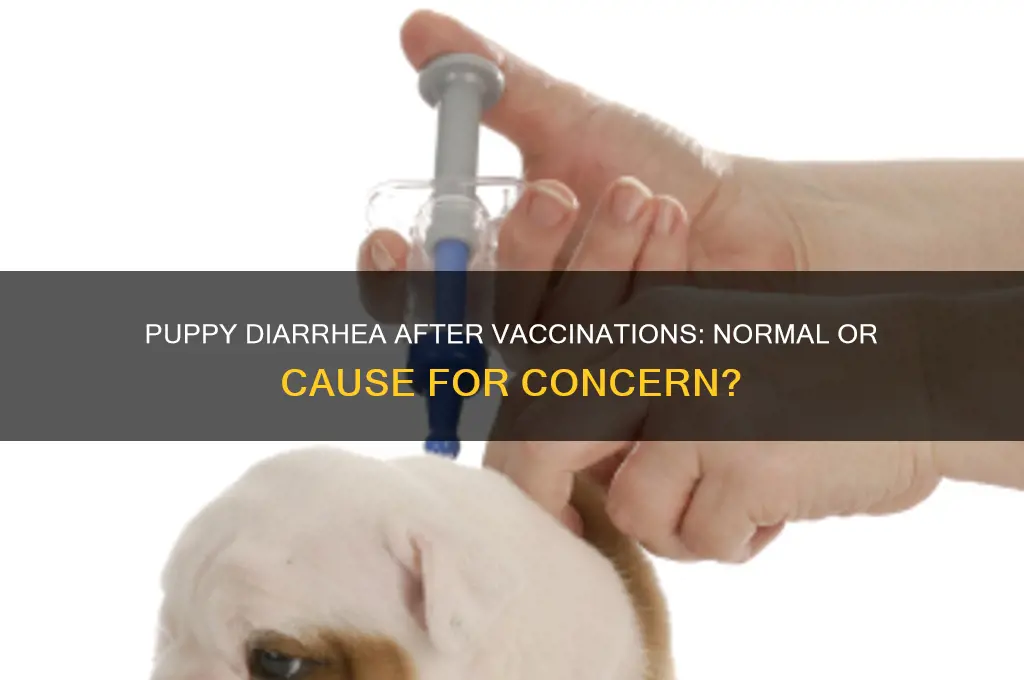 is it normal for puppies to have diarrhea after vaccinations