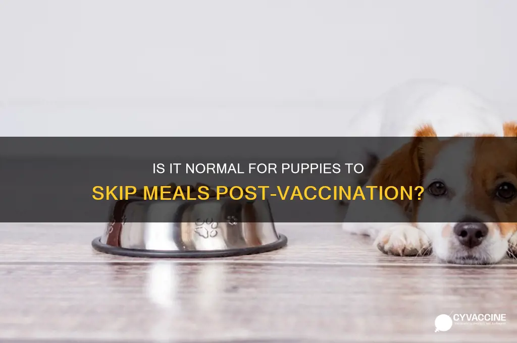 is it normal for puppy to not eat after vaccine