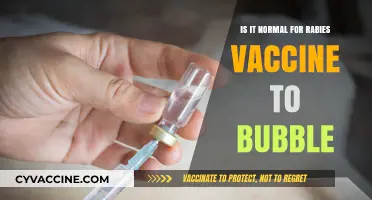 Rabies Vaccine Bubbling: Is It Normal or Cause for Concern?