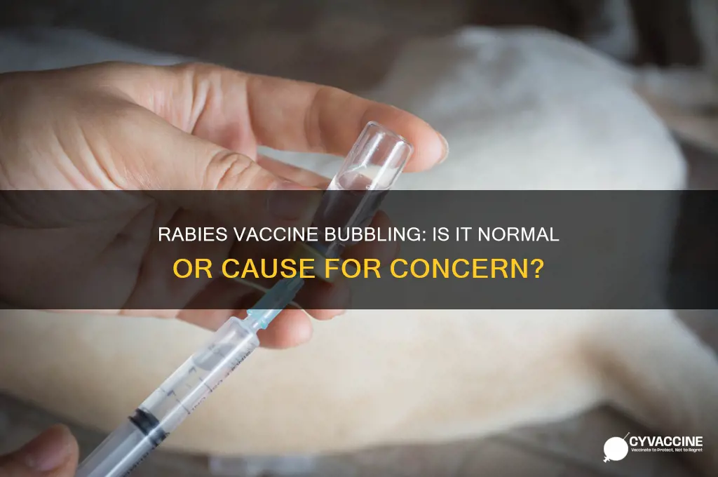 is it normal for rabies vaccine to bubble