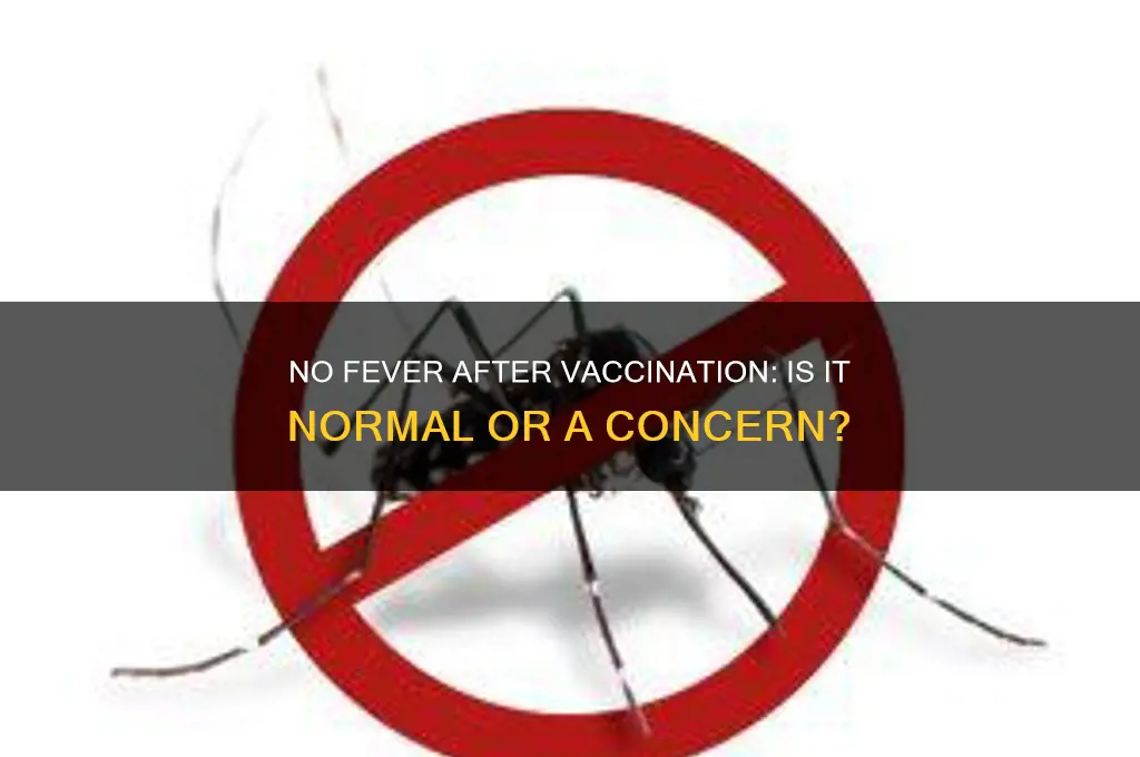 is it normal not to have fever after vaccination