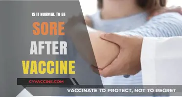 Is Post-Vaccine Soreness Normal? Understanding Common Side Effects