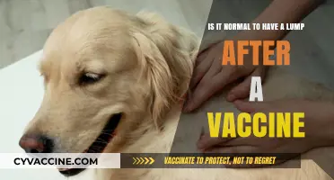 Is a Lump After a Vaccine Normal? What You Need to Know
