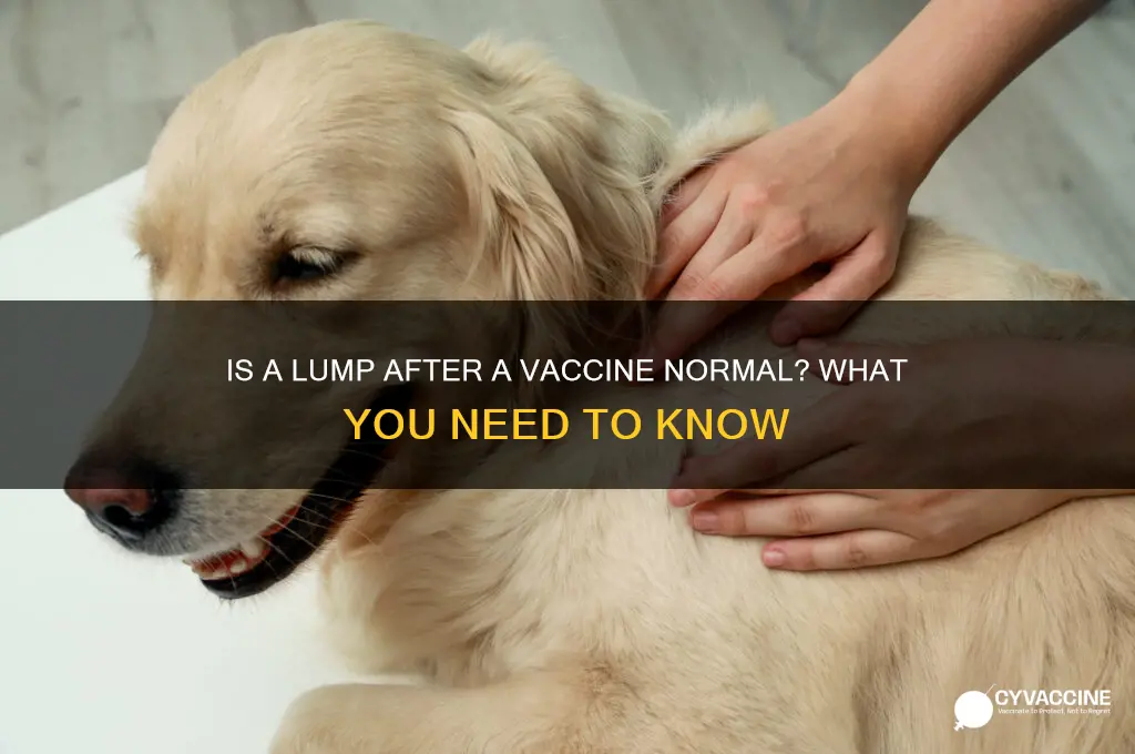 is it normal to have a lump after a vaccine