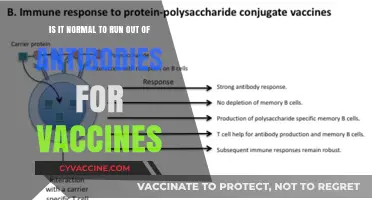 Understanding Antibody Depletion: Is Running Out After Vaccines Normal?
