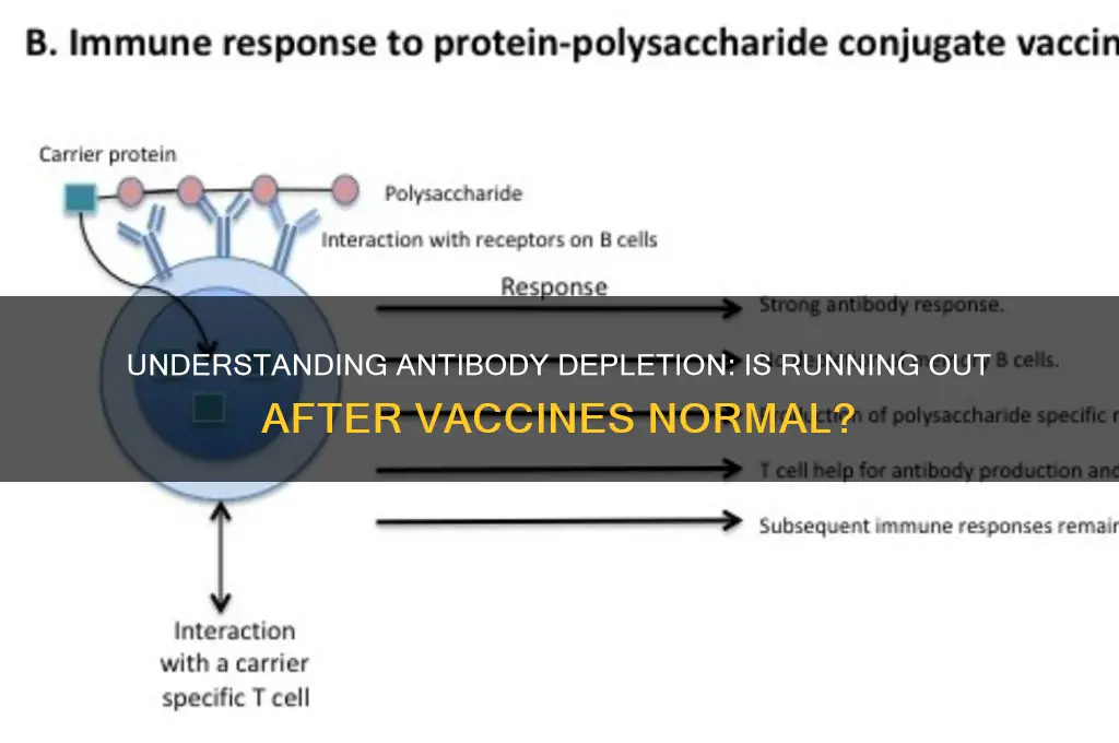 is it normal to run out of antibodies for vaccines
