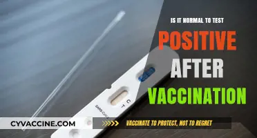 Post-Vaccination Positive Tests: Understanding Normal Immune Responses