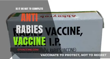 Skipping Anti-Rabies Vaccine: Risks, Consequences, and Expert Advice