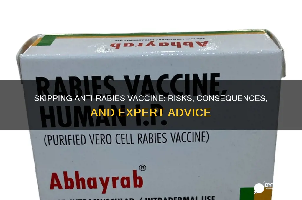 is it ok not to complete anti rabies vaccine