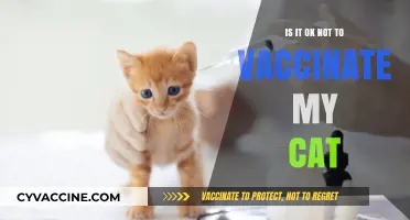 Is Skipping Cat Vaccinations Safe? Risks and Considerations for Pet Owners