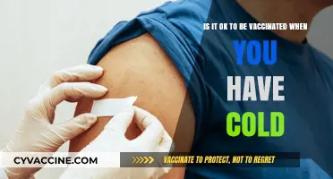 Can You Get Vaccinated with a Cold? Expert Advice and Safety Tips