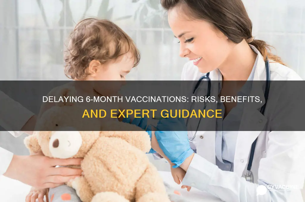 is it ok to delay 6 month vaccinations
