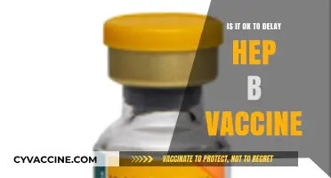 Delaying Hepatitis B Vaccine: Risks, Benefits, and Expert Recommendations