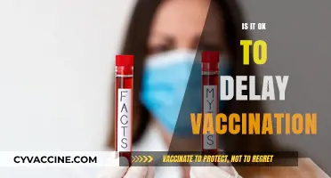 Debunking Myths: The Truth About Delaying Vaccinations