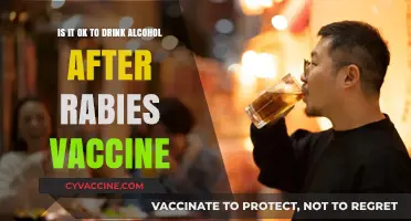 Alcohol After Rabies Vaccine: Safe or Risky? Expert Insights