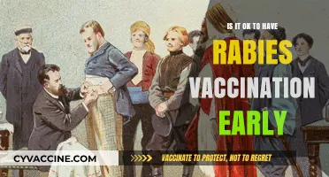 Early Rabies Vaccination: Benefits, Timing, and Safety Considerations Explained
