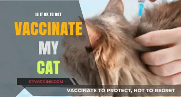 Is Skipping Cat Vaccinations Safe? Risks and Considerations for Pet Owners