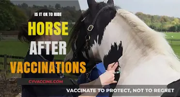 Post-Vaccination Horseback Riding: Safety Tips and Guidelines for Riders