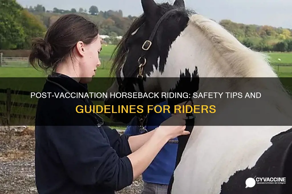 is it ok to ride horse after vaccinations