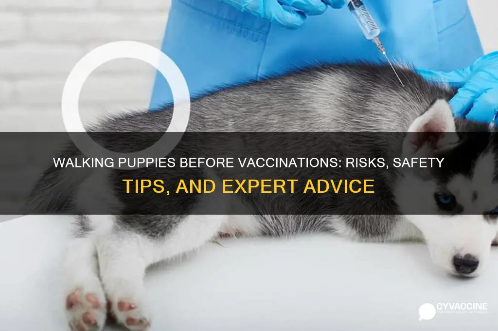 is it ok to walk a puppy before vaccinations