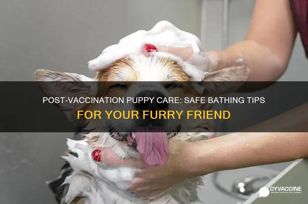 is it okay to bathe a puppy after vaccination