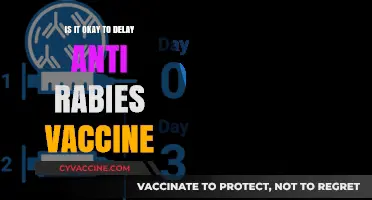 Delaying Anti-Rabies Vaccine: Risks, Consequences, and Expert Advice