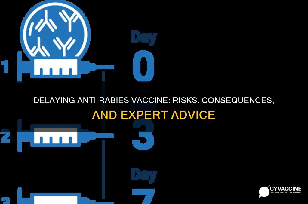 is it okay to delay anti rabies vaccine