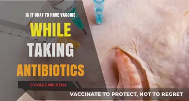 Vaccines and Antibiotics: Safe to Combine or Risky Interaction?