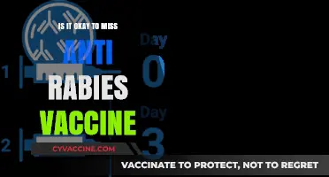 Missing Anti-Rabies Vaccine: Risks, Consequences, and What to Do Next