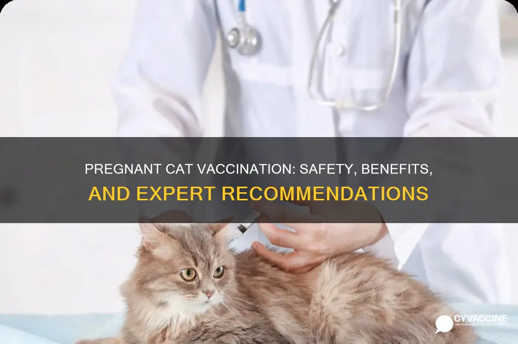 is it okay to vaccinate a pregnant cat