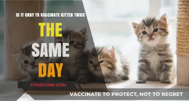 Double Vaccination for Kittens: Safe or Risky Practice?