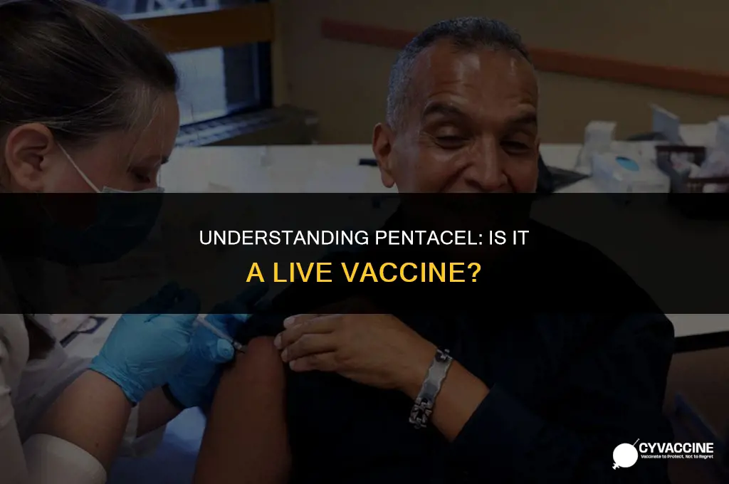 is it pentacel a live vaccine