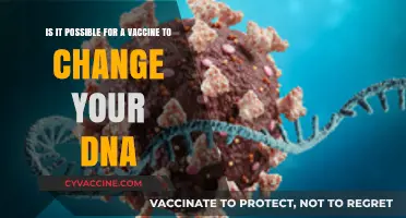 Can Vaccines Alter Your DNA? Separating Fact from Fiction