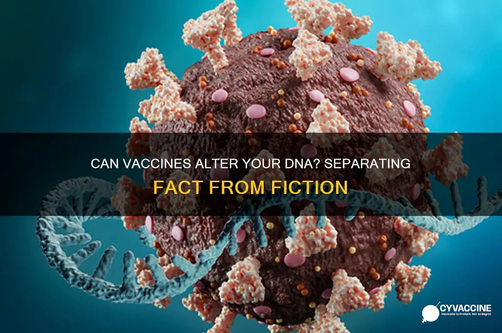 is it possible for a vaccine to change your dna
