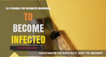 Vaccinated and Infected: Understanding Breakthrough COVID-19 Cases