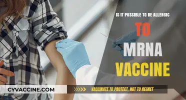 Can You Be Allergic to mRNA Vaccines? Facts and Insights